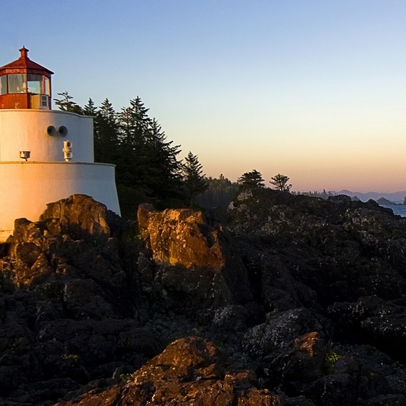 Meet your Posher, Emma - Picture 1 of 1